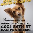 Adoption•Foster Event (San Francisco)